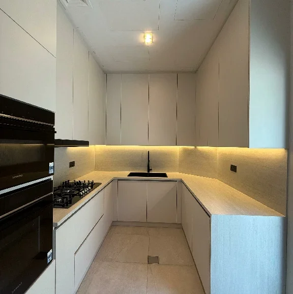 Deluxe Kitchen Renovation Projec (2)