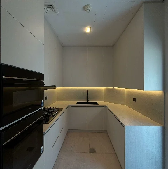 Deluxe Kitchen Renovation Projec (3)